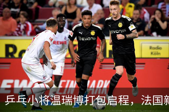 乒乓小将温瑞博打包启程，法国新冒险即将开始