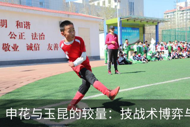 申花与玉昆的较量：技战术博弈与老将的新挑战